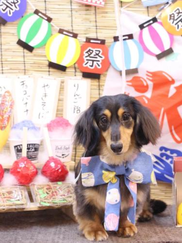 20240724ロイくん